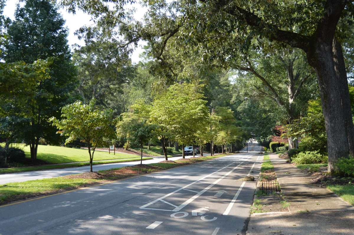 Greenville sc neighborhood with trees